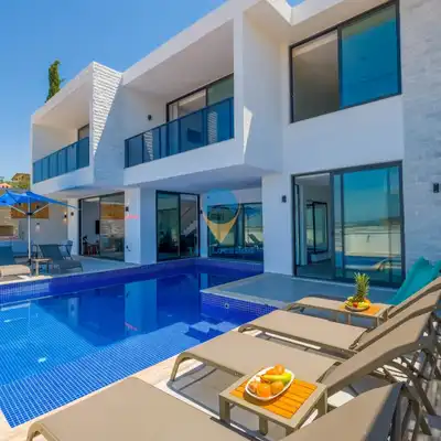 Villa Arı